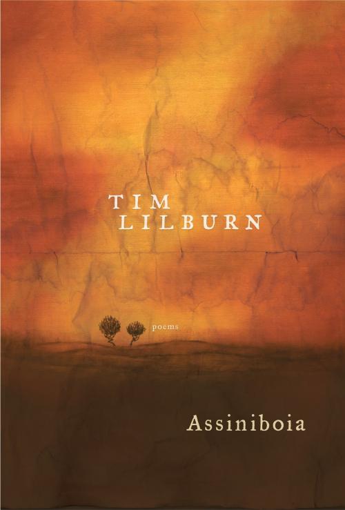 Cover of the book Assiniboia by Tim Lilburn, McClelland & Stewart