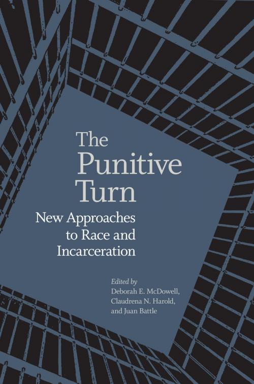 Cover of the book The Punitive Turn by , University of Virginia Press