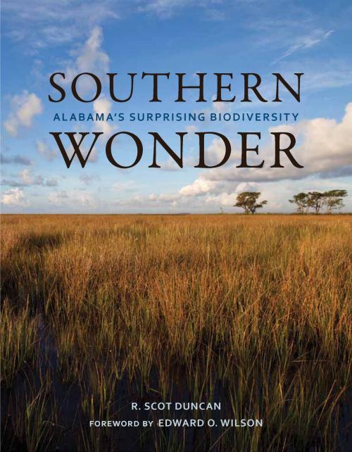 Cover of the book Southern Wonder by R. Scot Duncan, University of Alabama Press