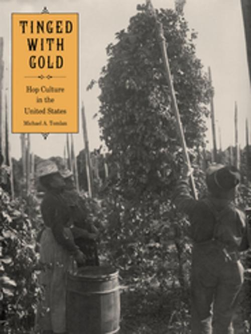 Cover of the book Tinged with Gold by Michael A. Tomlan, University of Georgia Press