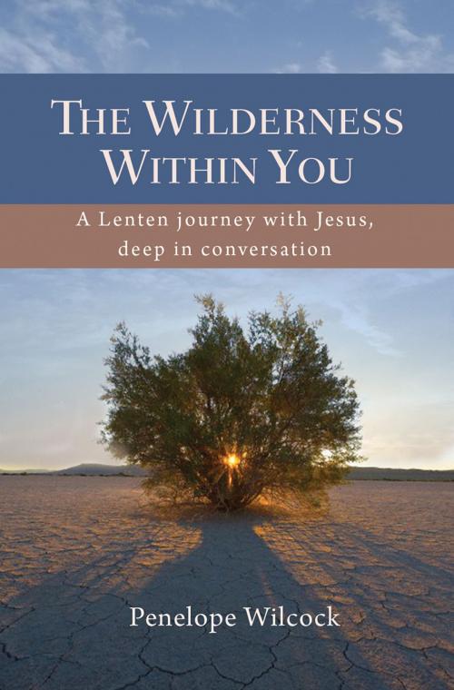 Cover of the book The Wilderness within You by Penelope Wilcock, Lion Hudson LTD