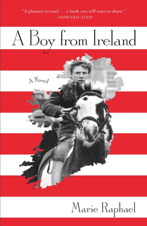 Cover of the book A Boy From Ireland: A Novel by Marie Raphael, Persea