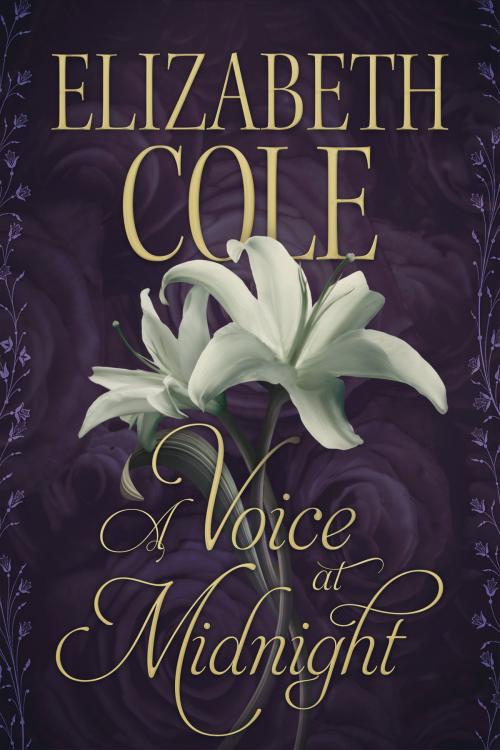 Cover of the book A Voice at Midnight by Elizabeth Cole, SkySpark Books