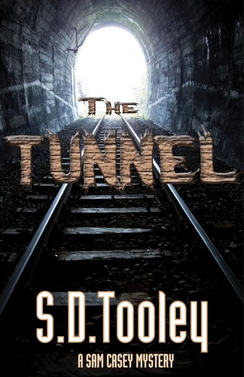 Cover of the book The Tunnel by S.D. Tooley, Full Moon Publishing LLC