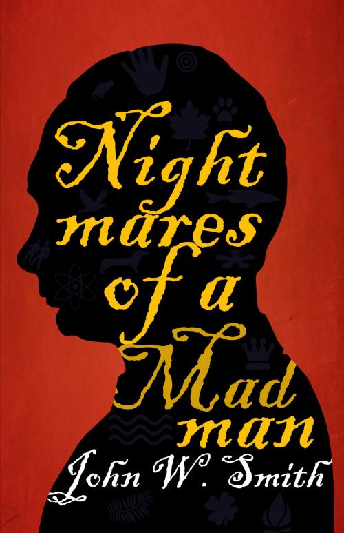 Cover of the book Nightmares of a Madman by John Smith, John Smith
