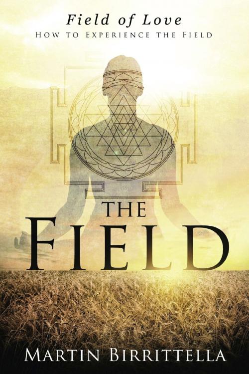 Cover of the book Field of Love: How to Experience the Field by Martin Birrittella, Delhi International Press
