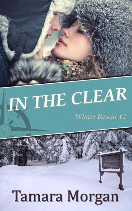 Cover of the book In the Clear by Tamara Morgan, Tamara Morgan
