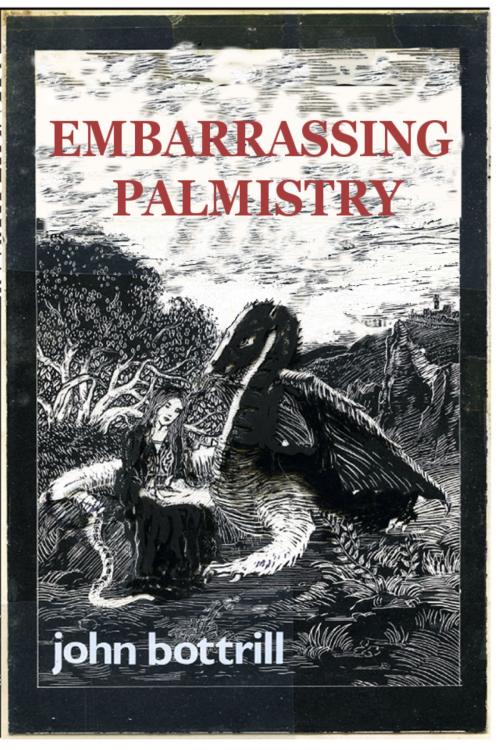 Cover of the book Embarrassing Palmistry by John Bottrill, John Bottrill
