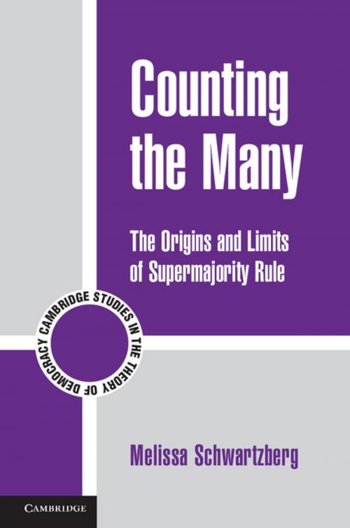 Cover of the book Counting the Many by Melissa Schwartzberg, Cambridge University Press