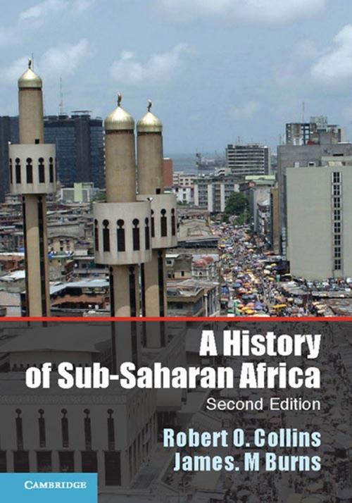 Cover of the book A History of Sub-Saharan Africa by Robert O. Collins, James M. Burns, Cambridge University Press