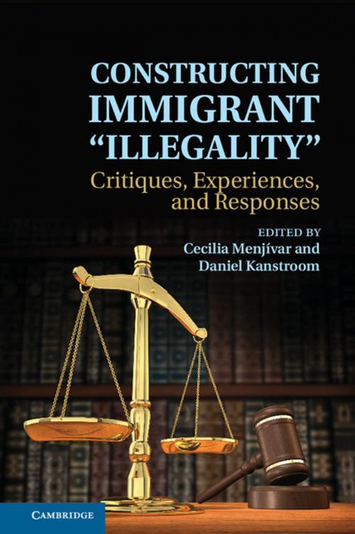 Cover of the book Constructing Immigrant 'Illegality' by , Cambridge University Press