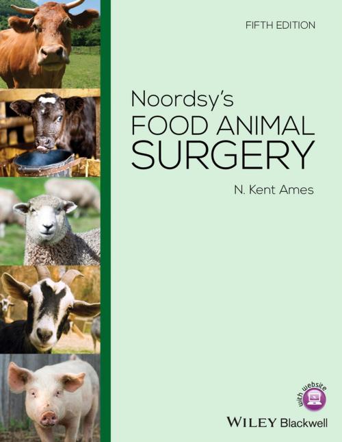 Cover of the book Noordsy's Food Animal Surgery by N. Kent Ames, Wiley
