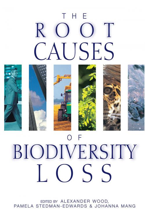 Cover of the book The Root Causes of Biodiversity Loss by Alexander Wood, Pamela Stedman-Edwards, Johanna Mang, Taylor and Francis