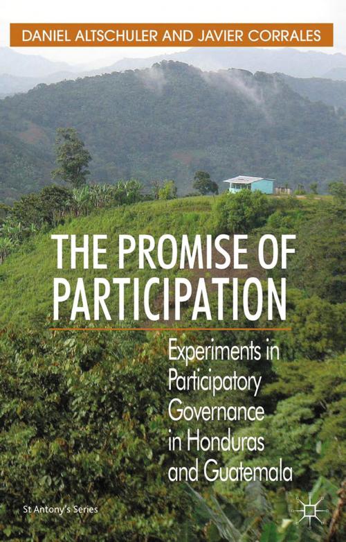 Cover of the book The Promise of Participation by D. Altschuler, J. Corrales, Palgrave Macmillan UK