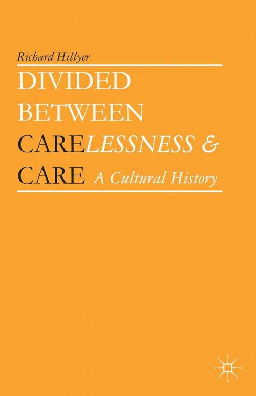 Cover of the book Divided between Carelessness and Care by Richard Hillyer, Palgrave Macmillan US