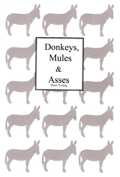 Cover of the book Donkeys Mules & Asses by Peter Young, Peter Young