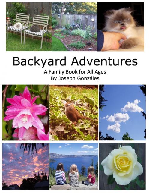 Cover of the book Backyard Adventures - A Family Book for All Ages by Joseph Gonzáles, Lulu.com