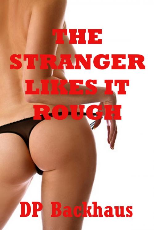 Cover of the book The Stranger Likes It Rough (A First Anal Sex Erotica Story) by DP Backhaus, Naughty Daydreams Press
