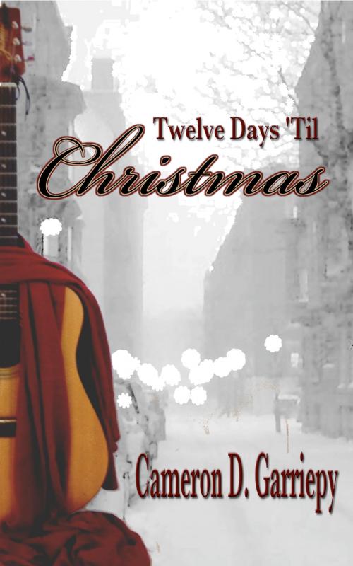 Cover of the book Twelve Days 'Til Christmas by Cameron D. Garriepy, Bannerwing Books