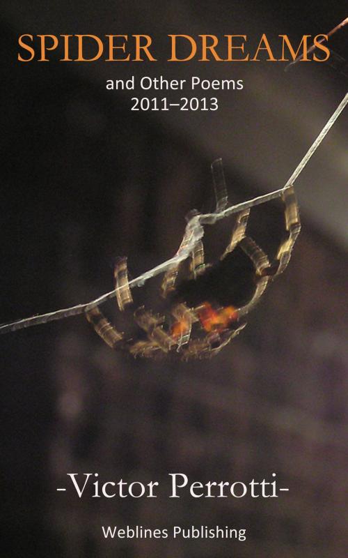 Cover of the book Spider Dreams: And Other Poems 2011-2013 by Victor Perrotti, Victor Perrotti