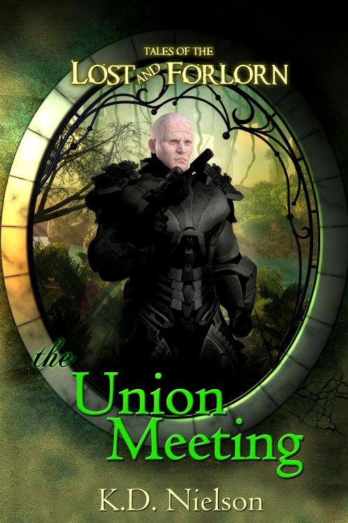 Cover of the book The Union Meeting by KD Nielson, KD Nielson