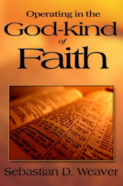Cover of the book Operating in the God-kind of Faith by Sebastian D. Weaver, Sebastian D. Weaver