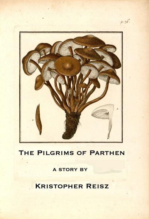 Cover of the book The Pilgrims of Parthen by Kristopher Reisz, Kristopher Reisz