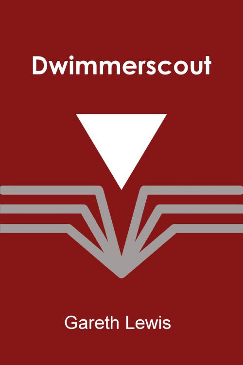 Cover of the book Dwimmerscout by Gareth Lewis, Gareth Lewis