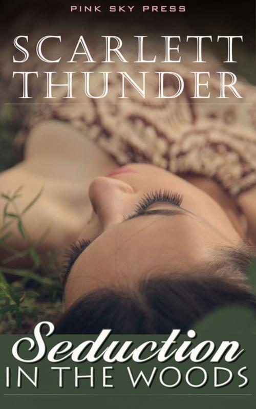 Cover of the book Seduction In The Woods by Scarlett Thunder, Pink Sky Press