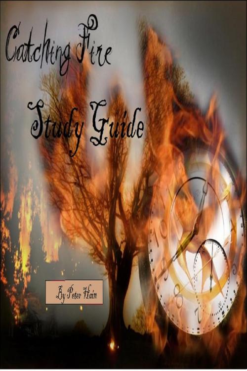 Cover of the book Catching Fire Study Guide by Peter Hain, Peter Hain