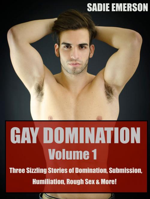Cover of the book Gay Domination: Volume One by Sadie Emerson, Sadie Emerson