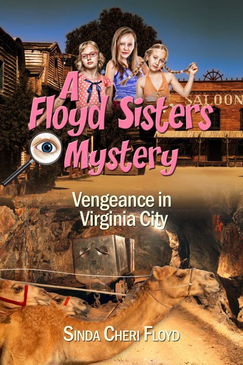 Cover of the book Vengeance in Virginia City, a Floyd Sisters Mystery by Sinda Cheri Floyd, Sinda Cheri Floyd