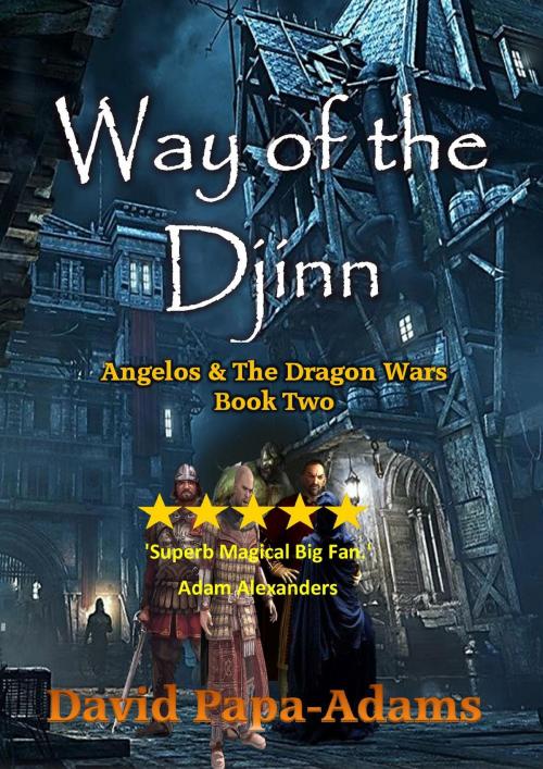 Cover of the book Way of the Djinn by David Papa-Adams, David Papa-Adams