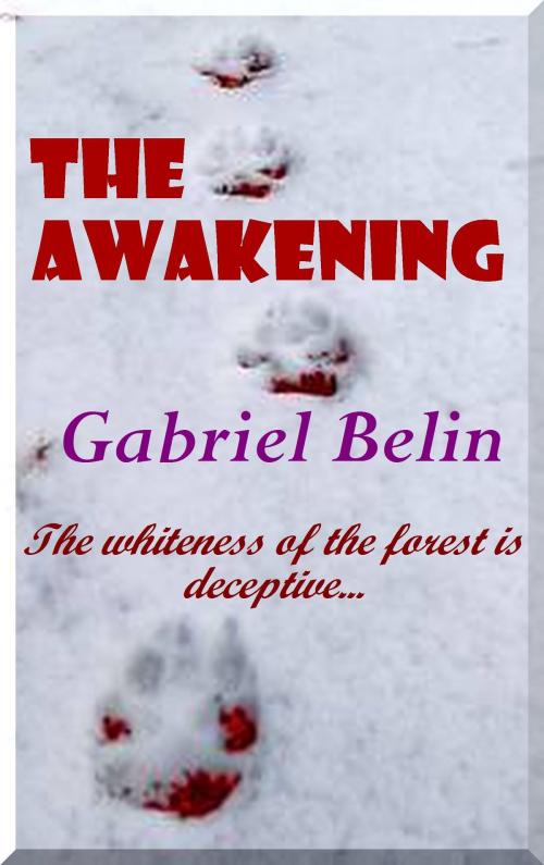 Cover of the book The Awakening by Gabriel Belin Jr, Gabriel Belin, Jr