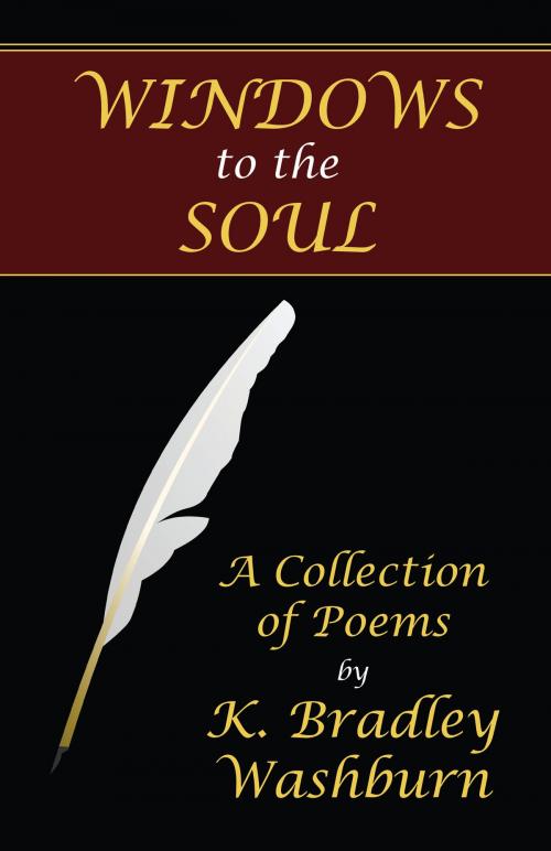 Cover of the book Windows to the Soul by K. Bradley Washburn, K. Bradley Washburn