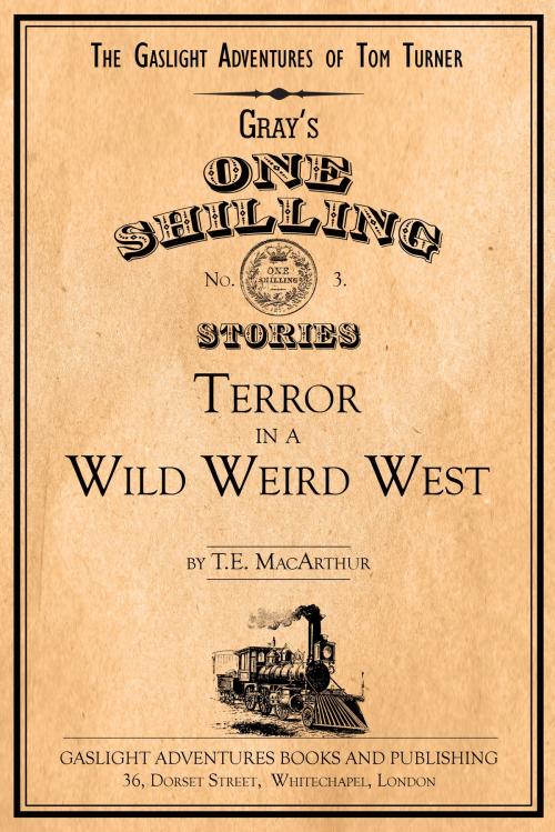 Cover of the book Terror in a Wild Weird West by T.E. MacArthur, T.E. MacArthur