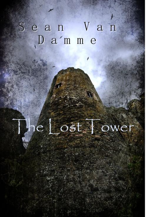 Cover of the book The Lost Tower by Sean Van Damme, Sean Van Damme