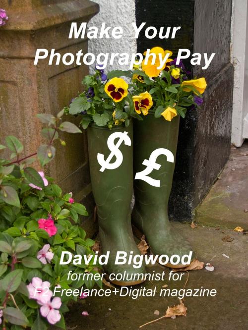 Cover of the book Make Your Photography Pay by David Bigwood, David Bigwood