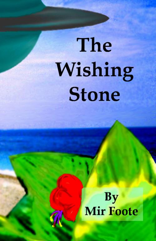 Cover of the book The Wishing Stone by Mir Foote, Mir Foote