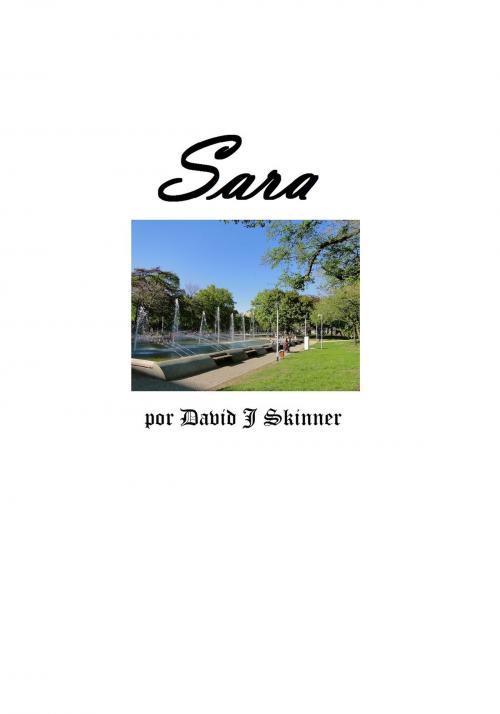 Cover of the book Sara by David J. Skinner, David J. Skinner