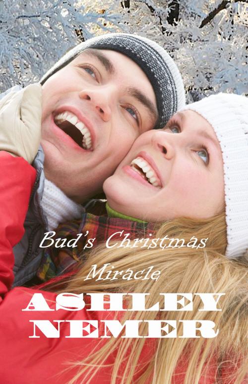 Cover of the book Bud's Christmas Miracle by Ashley Nemer, Art of Safkhet