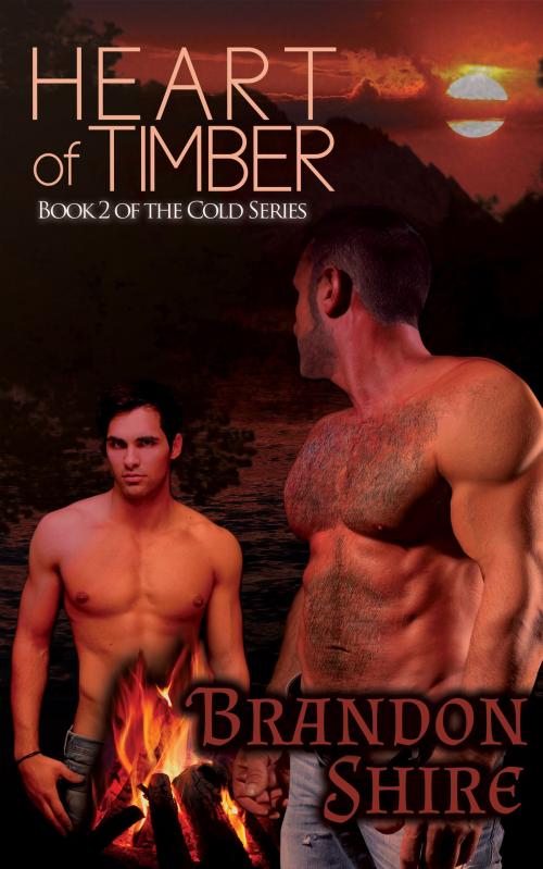 Cover of the book Heart of Timber (Gay Romance) by Brandon Shire, TPG Books