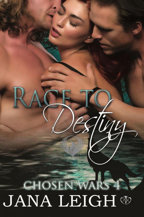 Cover of the book Race to Destiny by Jana Leigh, JK Publishing, Inc
