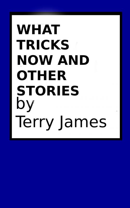 Cover of the book What Tricks Now and Other Stories by Terry James, Terry James