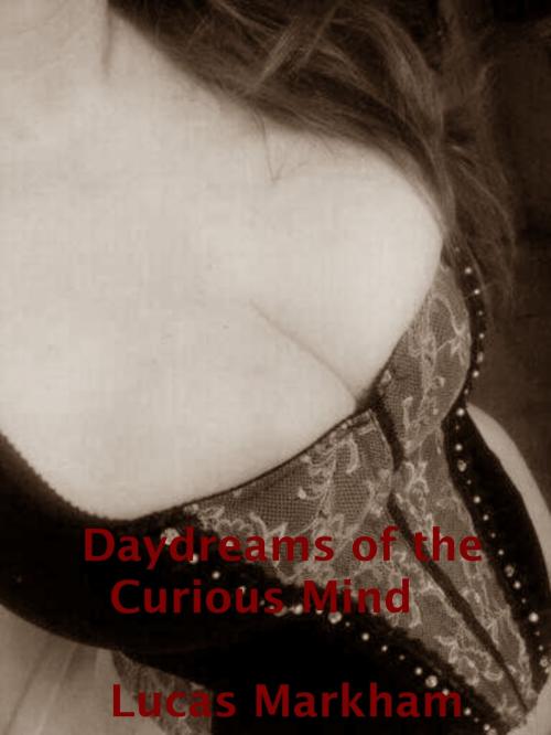 Cover of the book Daydreams of the Curious Mind by Lucas Markham, Lucas Markham