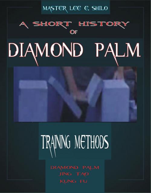 Cover of the book A Short History of Diamond Palm Training Methods by Lee E. Shilo, Lee E. Shilo