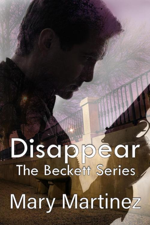 Cover of the book Disappear by Mary Martinez, Mary Martinez