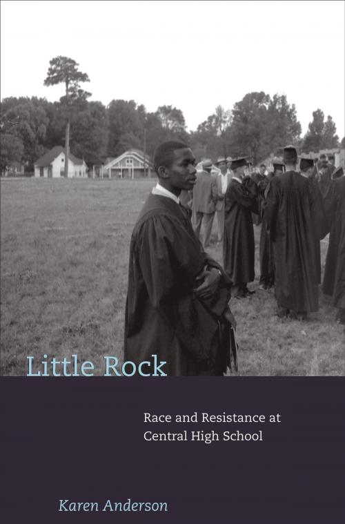 Cover of the book Little Rock by Karen Anderson, Princeton University Press