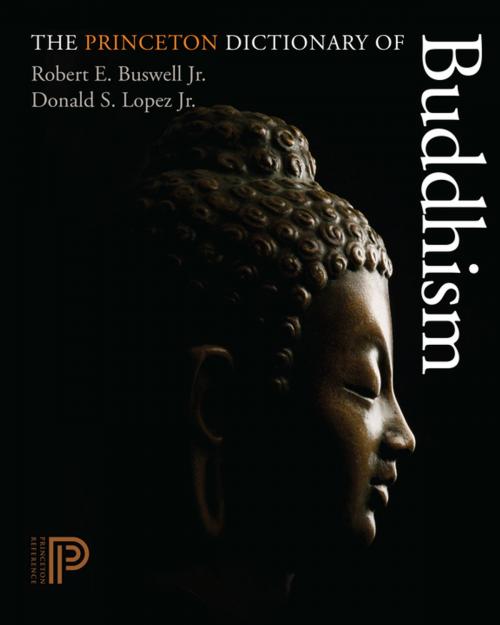 Cover of the book The Princeton Dictionary of Buddhism by Robert E. Buswell, Jr., Donald S. Lopez, Jr., Princeton University Press