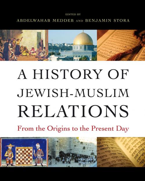Cover of the book A History of Jewish-Muslim Relations by , Princeton University Press
